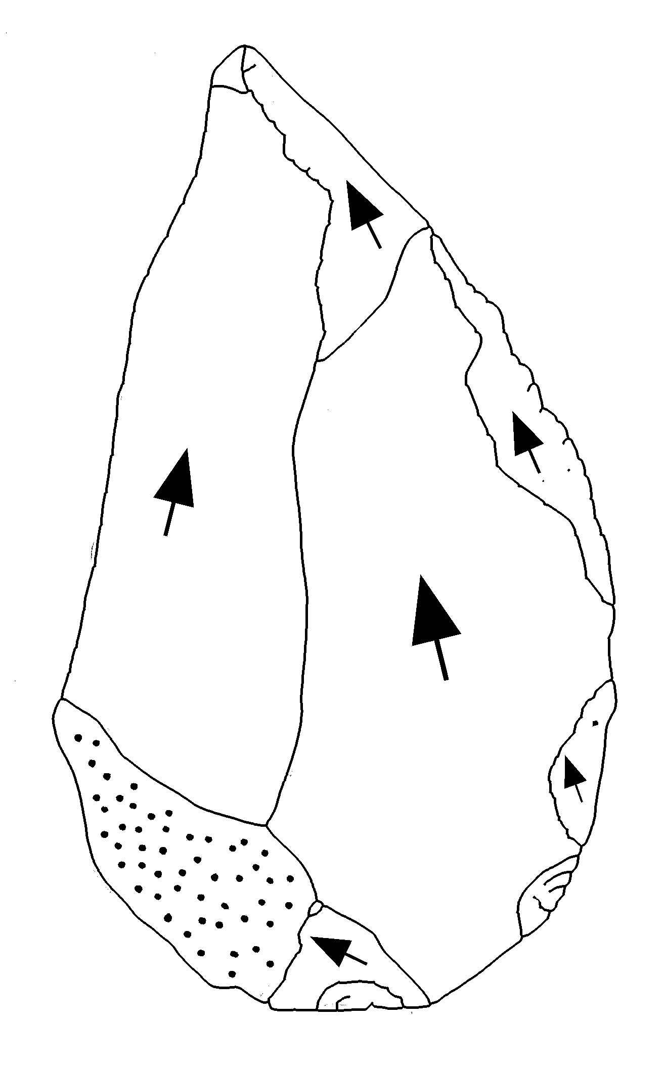 Arrows added