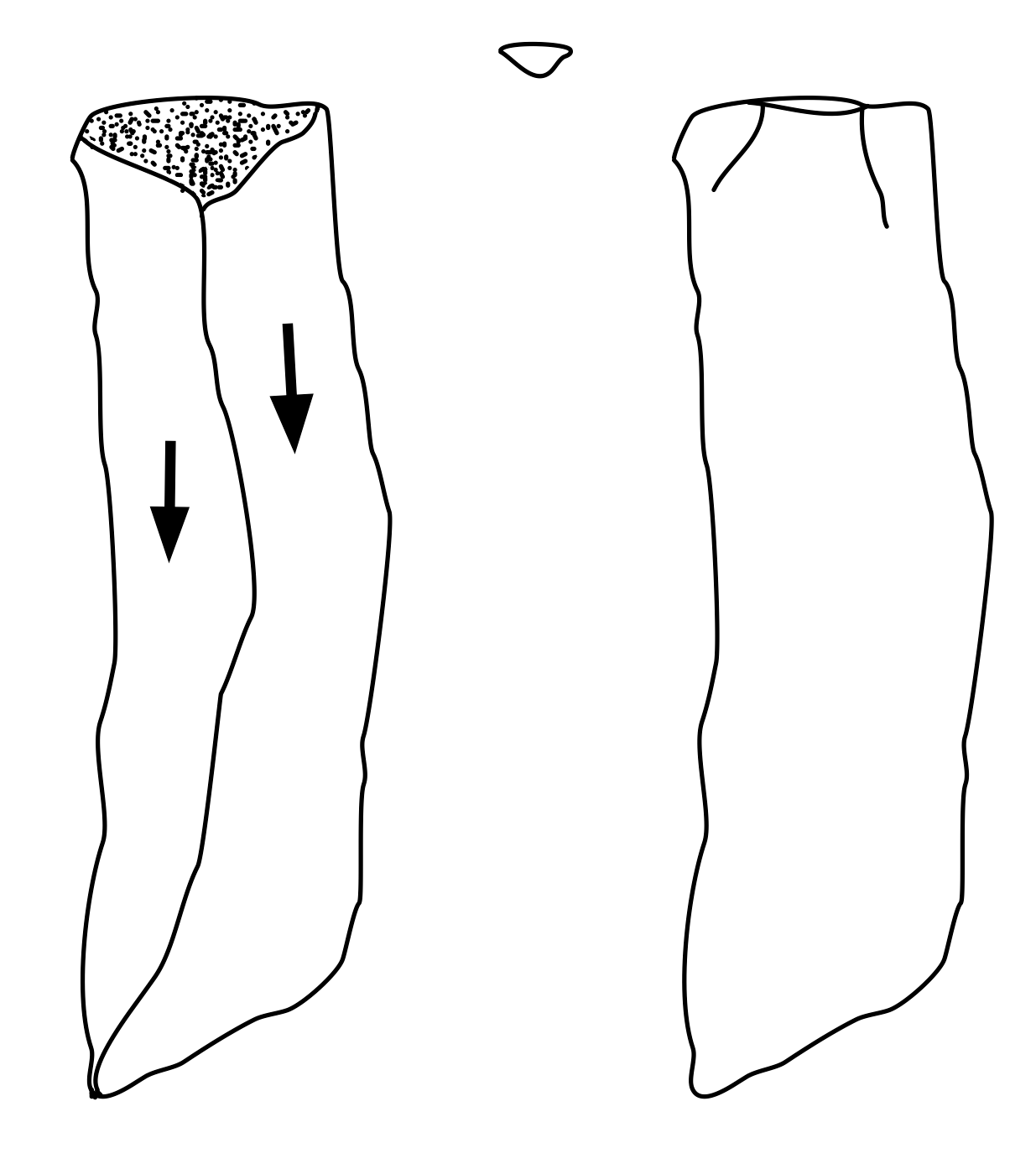 Replica 1