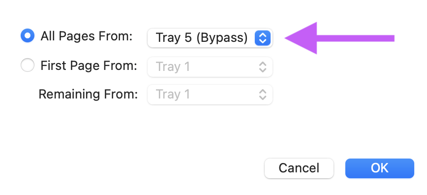 Paper feed section of print dialog box