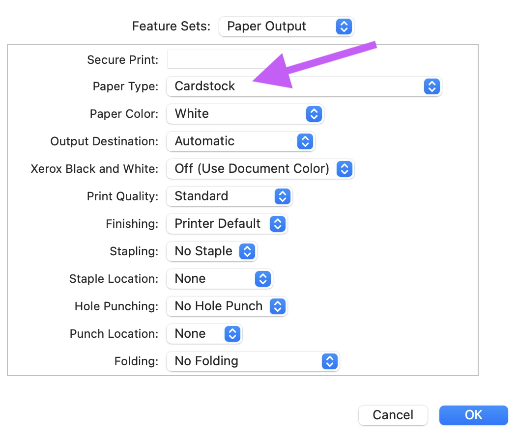 Printer features section of print dialog box