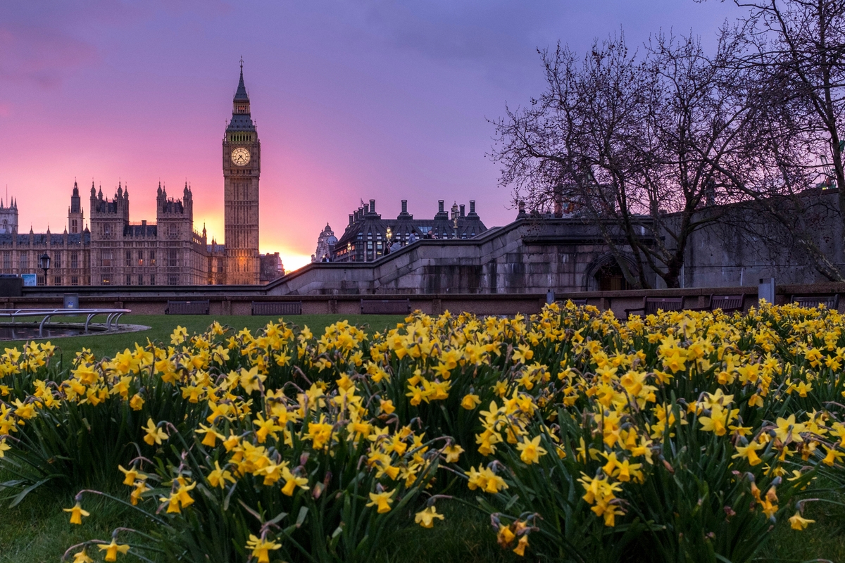 London in Spring, CC-0 via https://www.rawpixel.com/image/3284458/free-photo-image-architecture-beautiful-garden-purple-flower